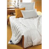 Billerbeck VZGLAVNIK Climatraum | Shoptok.si