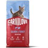 Carnilove Active Kitten losos i puretina - 2 x 6 kg Cijene