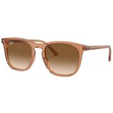 Ray-ban RB2210 676451 ONE SIZE (53) Rjava/Rjava Cene
