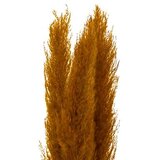 Atmosphera Ukrasna grana Pampas, 110 cm, 3 Komada, Oker | Eponuda.ba