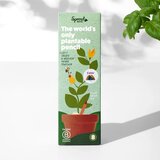  Bojice sa sjemenkama Sprout Color (8 komada) | shoptok.hr