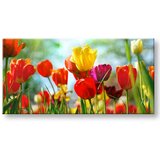  Slike na platnu cvetje panorama KV145E13 (moderne slike na) | shoptok.hr