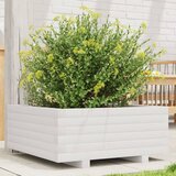 vidaXL Vrtna sadilica bijela 60x60x26,5 cm od masivne borovine | shoptok.hr