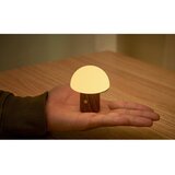 Gingko LED namizna svetilka v beli in temni naravni barvi (višina 7 cm) Alice Mushroom – | Shoptok.si