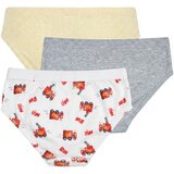 Petit Bateau Spodnje hlače SLIPS X 3 Večbarvna | Shoptok.si