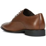 Geox - UOMO HIGH LIFE | ePonuda.com