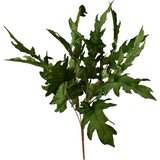 Mondex umetna veja plastika Viridis Bukiet 5 Liści 57cm zelena 1kos, (5000329501) | Shoptok.si