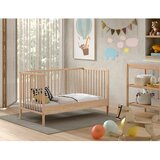 Vipack Dječji krevet od masivnog bora 60x120 cm u prirodnoj boji DINO – | shoptok.hr