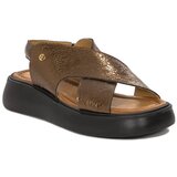 Maciejka 0603102001 Gold | shoptok.hr