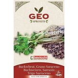Bavicchi Bio kalčki "ajda" - 90 g Cene