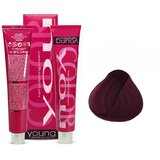 YOUNG Farba za kosu No 5.55, Intense Mahogany Light Chestnut, 100ml Cene