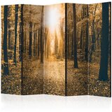  Paravan u 5 dijelova - Magical Light II [Room Dividers] 225x172 Cijene