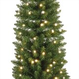  Novogodišnja jelka Pencil Pine sa lampicama 210cm Everlands 670235 | Eponuda.com