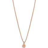 ROSATO RZAL036 | Shoptok.si