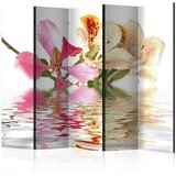  Paravan u 5 dijelova - Tropical flowers - orchid tree (bauhinia) II [Room Dividers] 225x172 | shoptok.hr