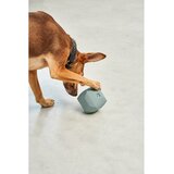 MiaCara Igrača za pse Dado Eucalyptus – | Shoptok.si