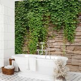  Foto tapeta - Ivy wall 500x350 | shoptok.hr