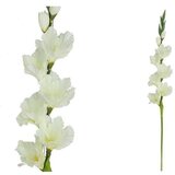  GLADIOLA 82CM BIJELA | Eponuda.ba