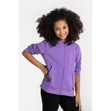 Coccodrillo Otroški pulover vijolična barva, s kapuco