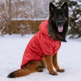 Paws &amp; Whiskers Redcoat Red Dog Hoodie | Eponuda.com