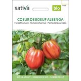 Sativa Bio mesnat paradižnik “Albenga” Cene