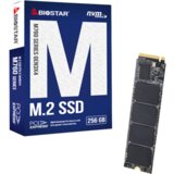 Biostar SSD M.2 NVMe M760-256GB | Eponuda.ba