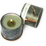 ILLUME x Bloomingville Dišeča sveča čas gorenja 50 h Hinoki Sage – | Shoptok.si