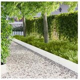 vidaXL vrtna obroba, 100x25 cm, 30kos, 8008607 u