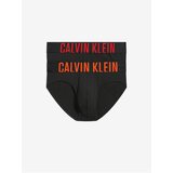 Calvin Klein Set of two black men's briefs Underwear - Mens | Shoptok.si
