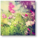  Slike na platnu roze CVEĆE_165-12 (moderne slike na platnu) | ePonuda.com