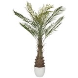 MID.YOU Umetna Rastlina Dracaena | Shoptok.si