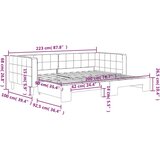 vidaXL Izvlečna dnevna postelja temno siva 90x200 cm žamet, (20929942) | Shoptok.si