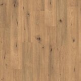  laminat journey 731 4V oak carpatian 505842001 | ePonuda.com