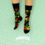 Frogies Čarape Regular | Eponuda.ba