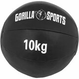  Medicinska lopta (10 kg) | Eponuda.com