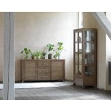  Jungen Vitrina 2 vrata divlji hrast ( 3670261 ) Cene