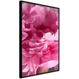  Poster - Magenta Madness 20x30 Cijene