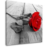  Slike na platnu cveće (moderne slike na platnu) | ePonuda.com