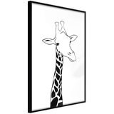  Poster - Black and White Giraffe 40x60 Cijene