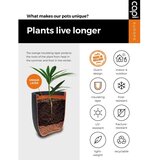 Capi jajolika posuda za sadnju Nature Rib 43 x 41 cm crna KBLR933 | shoptok.hr