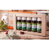 Saloos Set of 100% Natural Essential Oils Aromatherapy Magic 5 pack | shoptok.hr