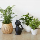 Balvi Plastična kanta za vodu 2 l Meow – | shoptok.hr