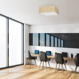  plafonsko svetlo marshall 2xE27/60W/230V | Eponuda.com