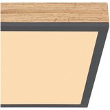 Globo Doro LED panel (12 W, 30 x 30 cm, Topla bijela) | shoptok.hr