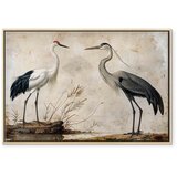  Slika - Birds from an old engraving - vintage-style illustration depicting a heron and a crane 60x40 U prirodnom drvenom okviru | shoptok.hr