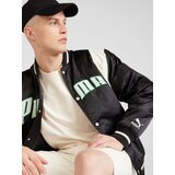 Puma Prijelazna jakna 'TEAM' bež / zelena / crna / bijela | shoptok.hr