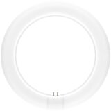 Osram LED cijev (Duljina: 21,2 cm, Hladna bijela, 11 W, 1.320 lm, G10q) | shoptok.hr