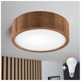  Brilagi - LED RGBW plafonsko svetlo CARVALHO sa prigušiva 1xE27/15W/230V Wi-Fi, hrast, prečnik 27,5 cm | Eponuda.com
