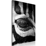  Slika - Zebra Eye (1 Part) Vertical 80x120 | shoptok.hr