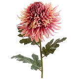 Light & Living Umetna rastlina (višina 91 cm) Chrysantheme – | Shoptok.si